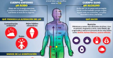 Alcalinizar el cuerpo