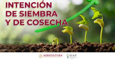 Autosuficiencia Urbana