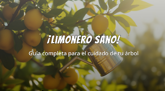 Cuidado del Limonero 1 Cuidado del Limonero